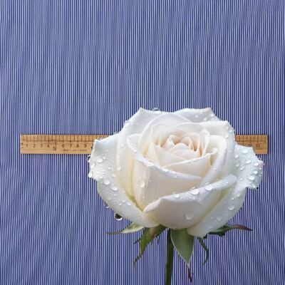 Tessuti a strisce colorati di filati di cotone resistenti per camicie in uniforme formale 110 gm